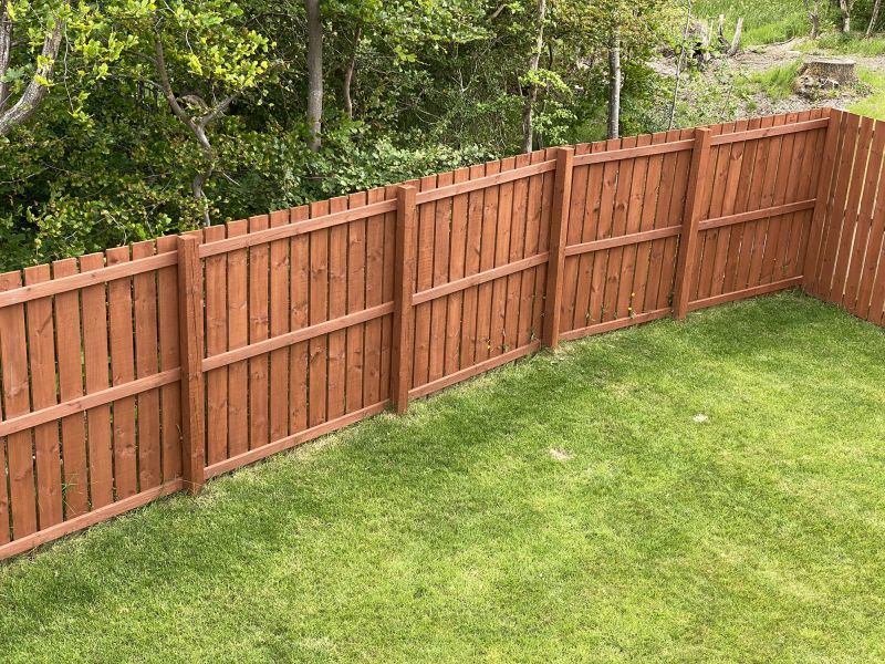 Fence and Gate Painting