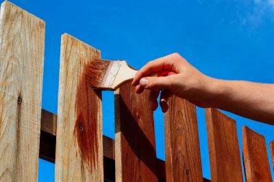 Painting and Staining Experts